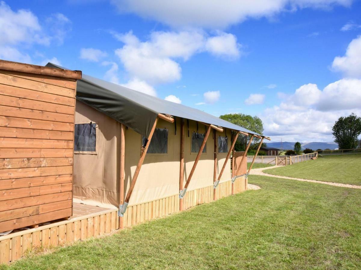 Denny Carr'S Hill Luxury Safari Tents מראה חיצוני תמונה